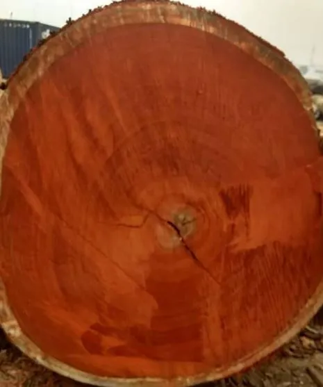 Africa-Tali-Wood-Logs-4