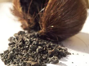 Pure DEER MUSK Powder 87% (Musk Wild Black)