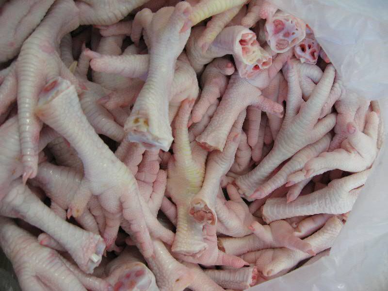 Brazilian Frozen Chicken Feet & Paws Halal Certified Brazilian Frozen Chicken Feet & Paws Halal Certified